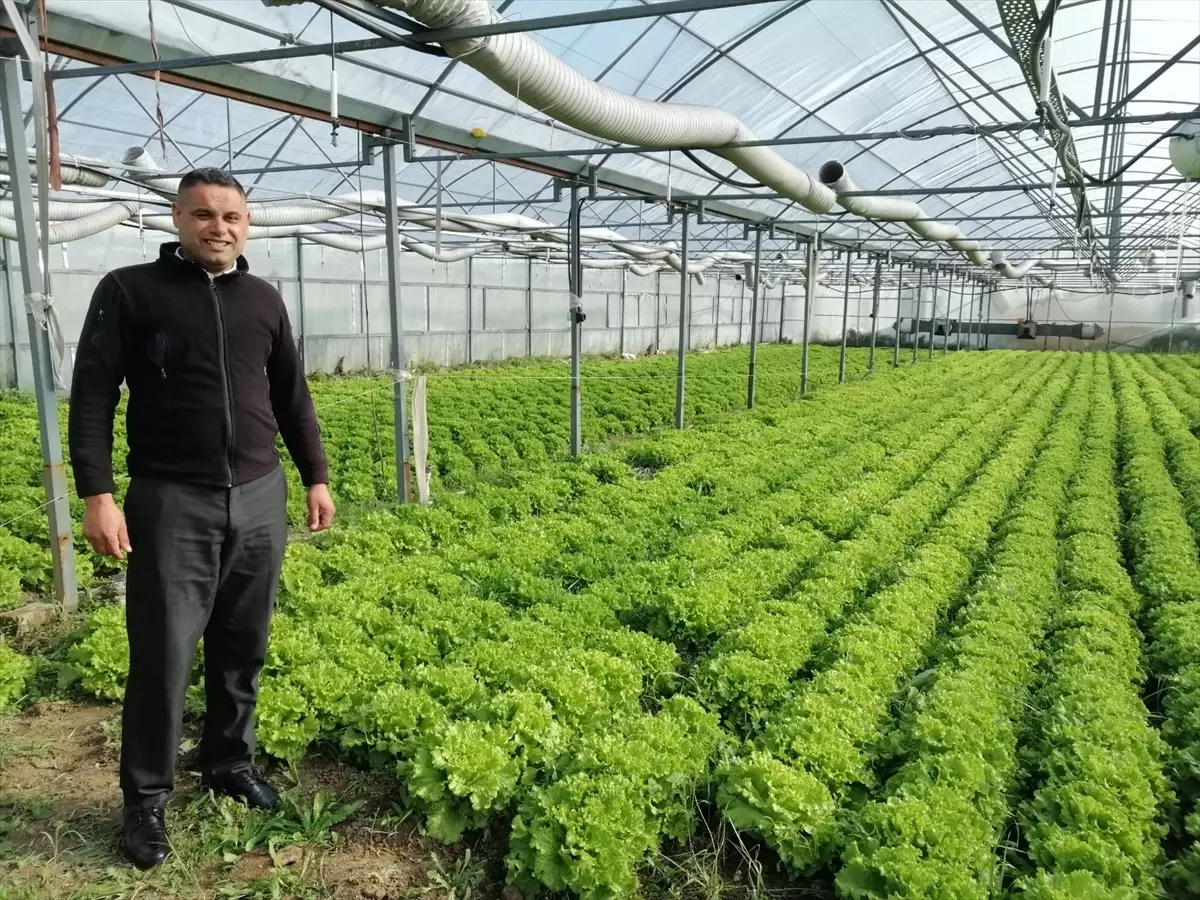 Edirne'den kısa kısa