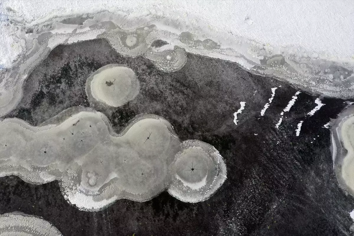 Iğdır'da kuşlara ev sahipliği yapan sulak alanlar dondu