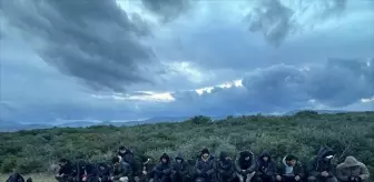 İzmir'de 14 düzensiz göçmen yakalandı