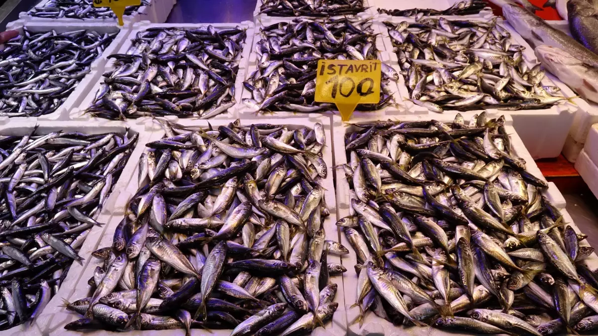 'Kar ve fırtına' nedeniyle balıkçılar ava çıkamadı, tezgahlarda çeşitlilik azaldı