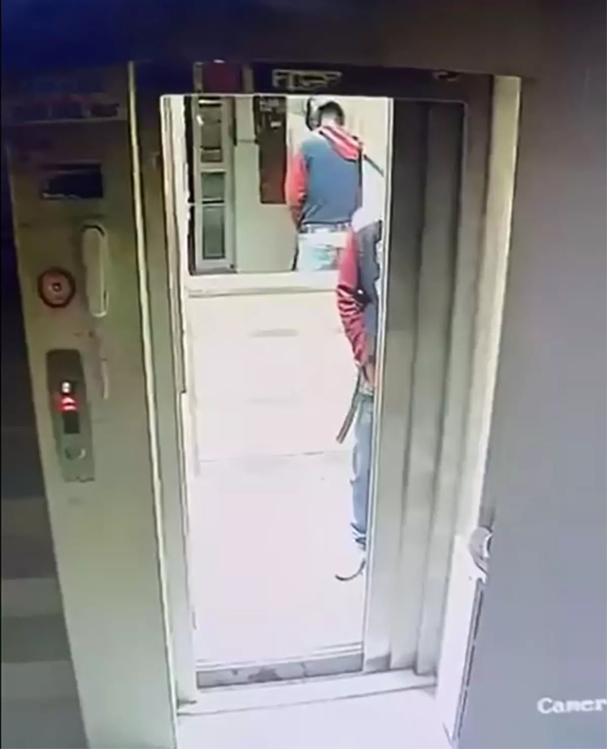 Kaskla apartmana giren şüpheli idrarını yapıp, damdaki kuşları çaldı; o anlar kamerada