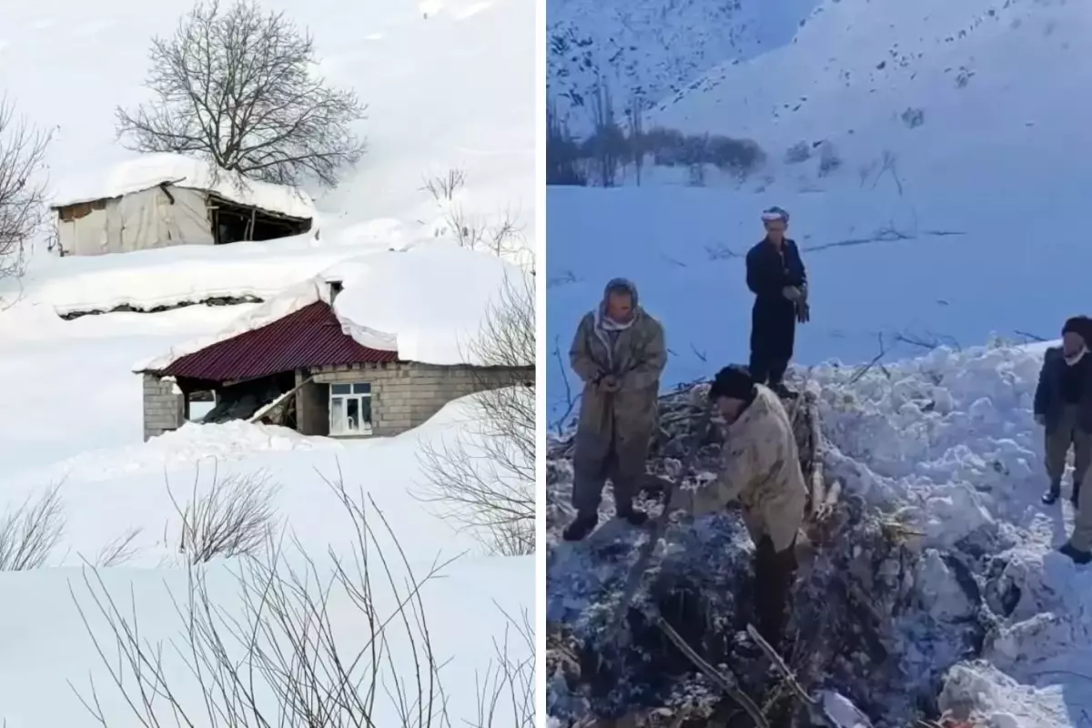 O kentimiz çığ altında kaldı! 8 ev zarar gördü