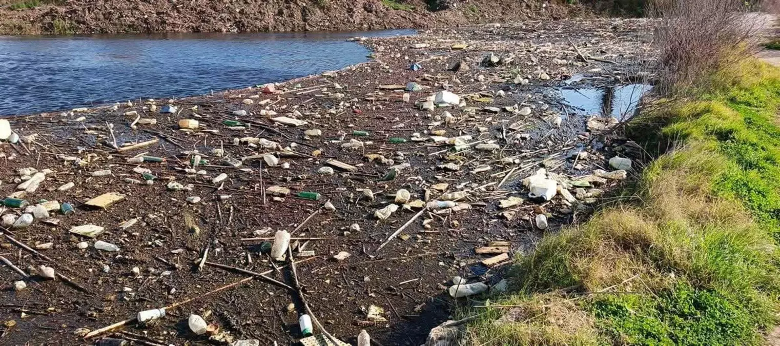 Prof. Dr. Yaşar: Küçük Menderes, Büyük Menderes ve Gediz Nehri'nde kirlilik başladı