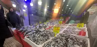 Samsun'da hamsinin kilogramı 130-150 liradan satılıyor
