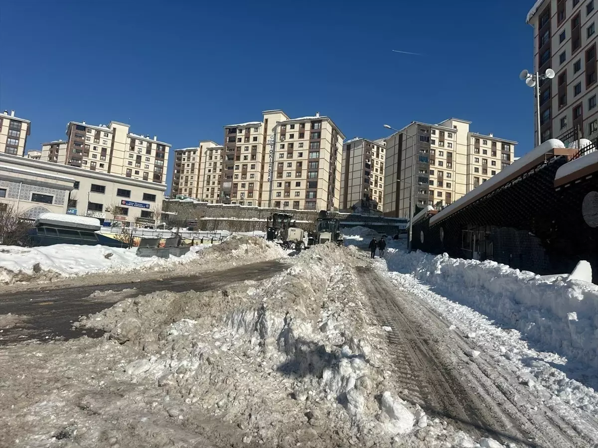 Şırnak, Siirt, Bingöl, Elazığ ve Mardin'de 102 yerleşim yerine ulaşım sağlanamıyor