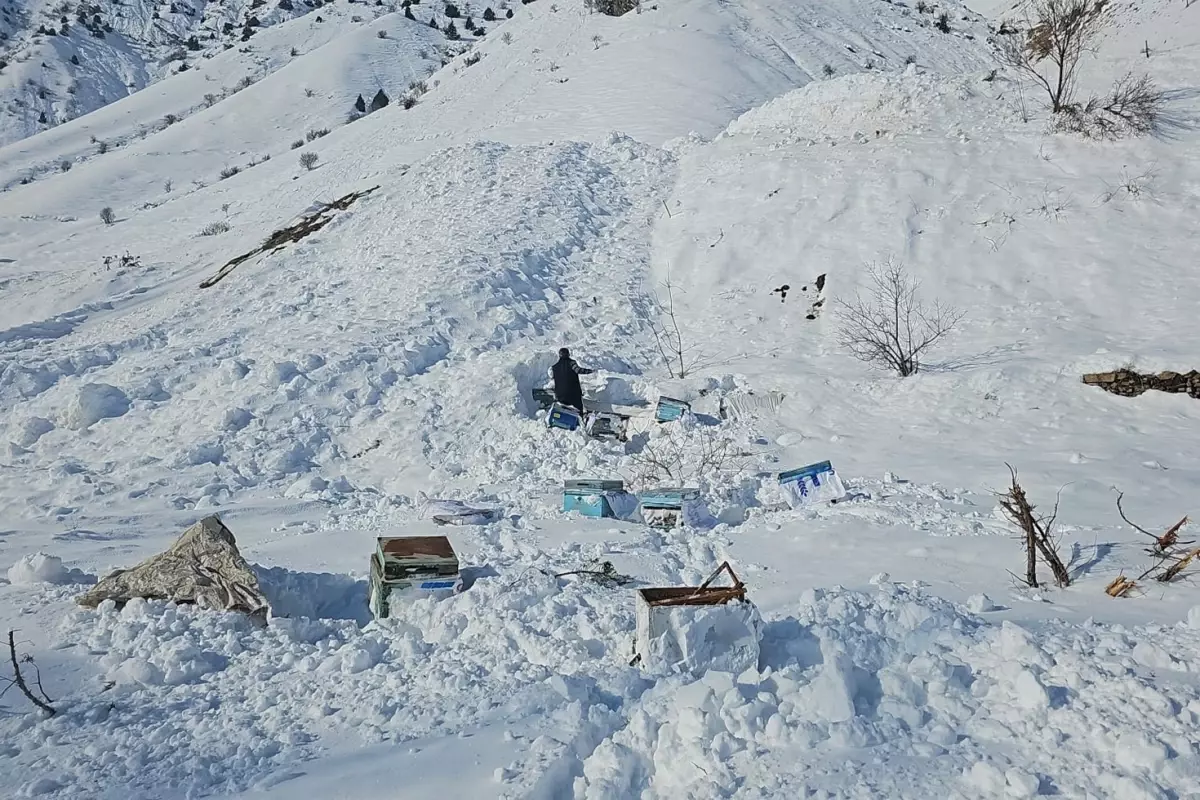 Şırnak'ta çığ faciası, bir kişi yaşamını yitirdi