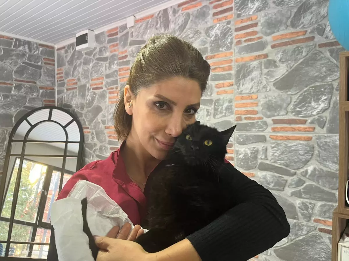 Yaralı Kedi 'Bulut' Ankara'da Tedavi Altına Alındı