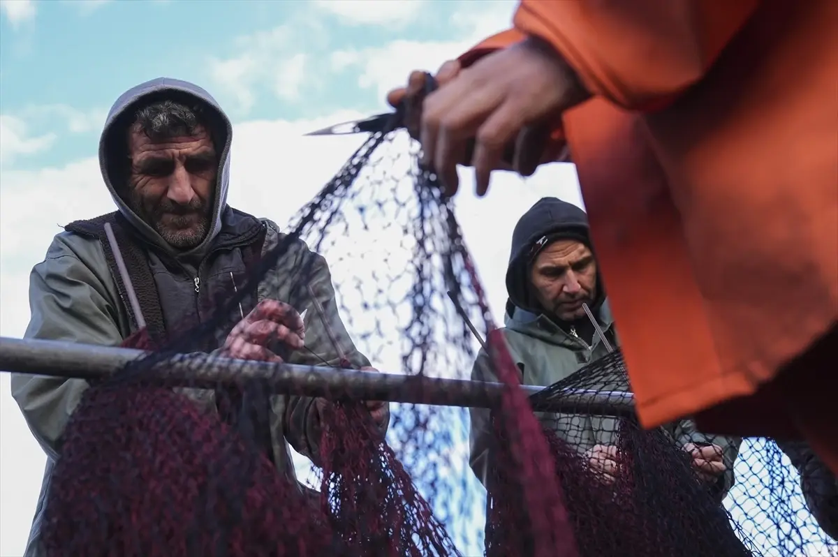 Yarısı tamamlanan av sezonunda hamsi ve sardalya yüz güldürdü