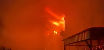 Antalya'da soğuk hava deposunda çıkan yangına müdahale ediliyor