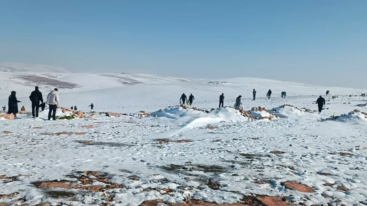 Batman'da yaban hayvanları için doğaya 1 ton yem bırakıldı