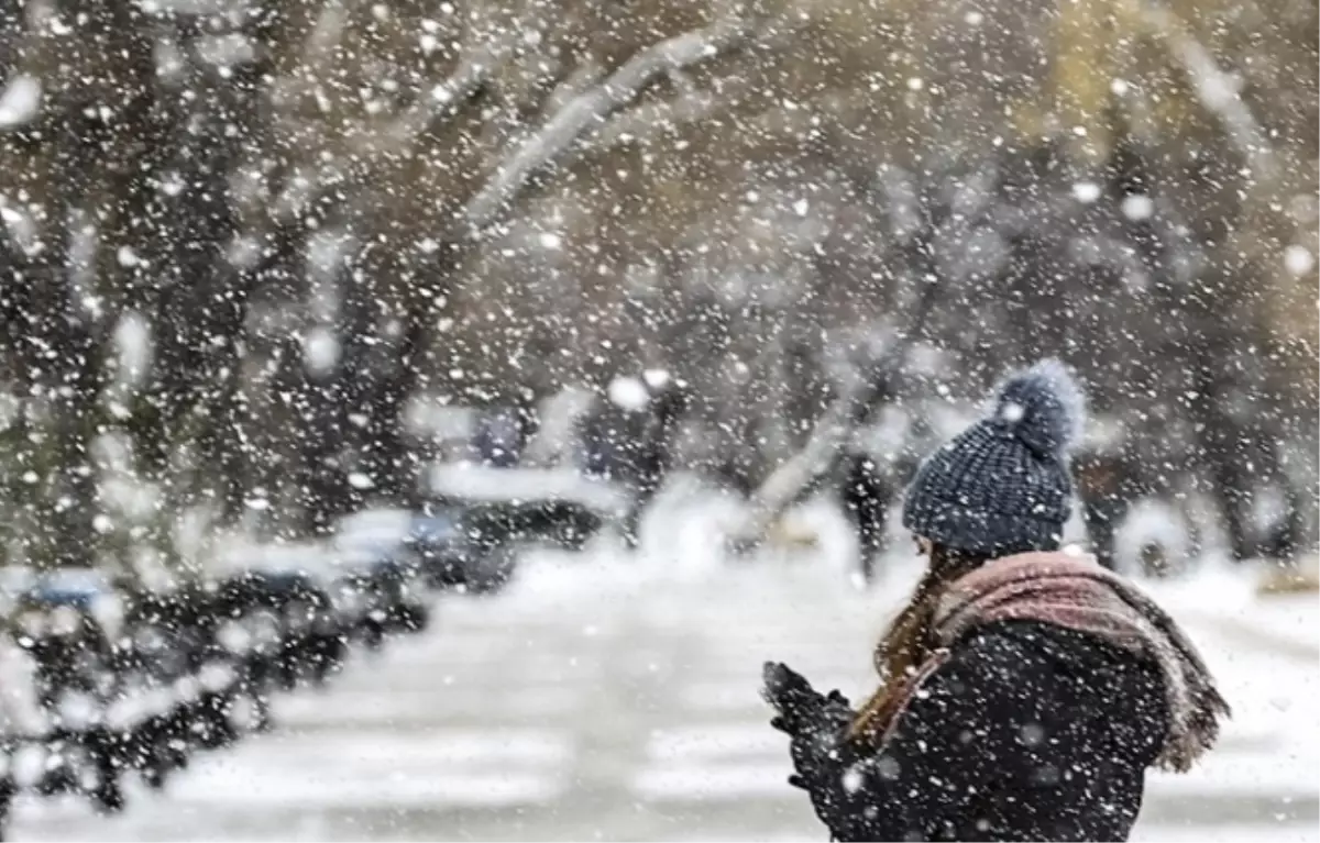 Bingöl okullar tatil mi, 6 Ocak Salı Bingöl'de okul yok mu ( BİNGÖL VALİLİĞİ - KAR TATİLİ)?