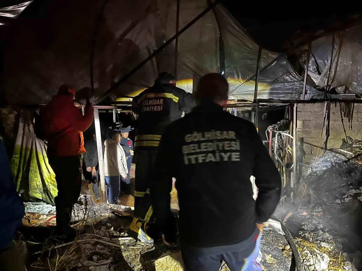 Burdur'da ahır yangını korkuttu