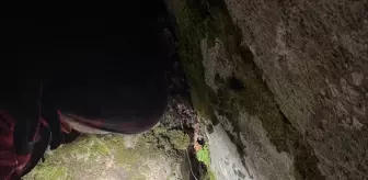 Bursa'da kayalıkta mahsur kalan 2 av köpeği kurtarıldı