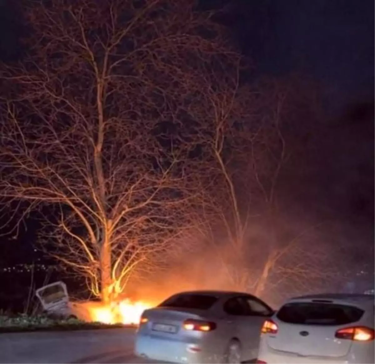 Bursa'da kontrolden çıkan otomobil önce ağaca çarptı sonra alev aldı