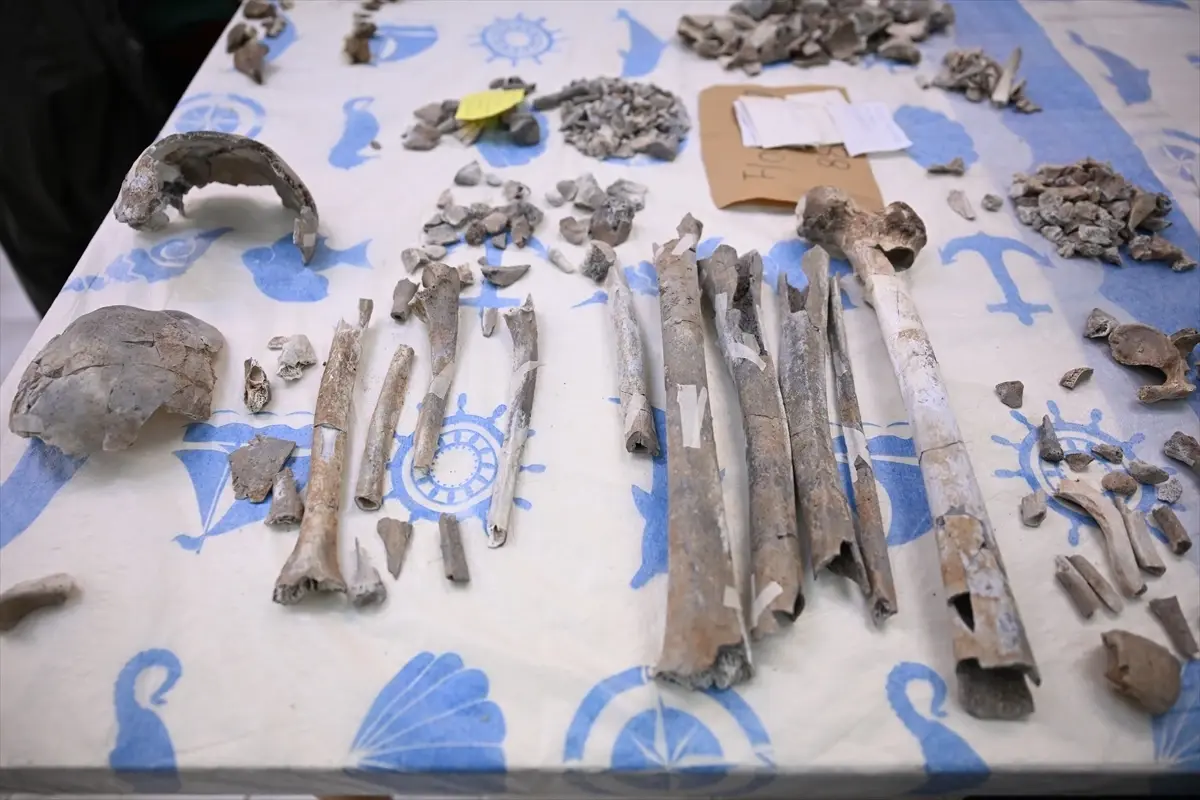 Çayönü Tepesi'nde yaşayan insanların genetik haritası çıkarılıyor