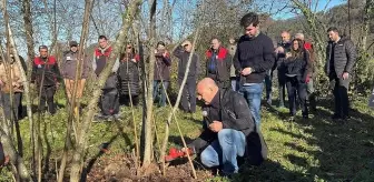 Giresun'da fındık budama eğitimi çalışmaları sürüyor