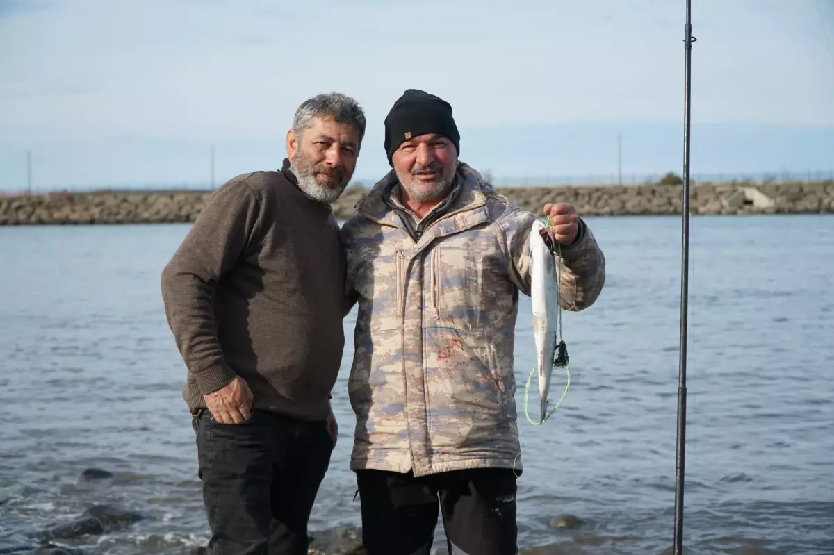 Karadeniz'de balık kafesinin patladığını duyanlar kıyıya akın etti