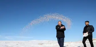 Malatya'da yaban hayvanları için doğaya yem bırakıldı