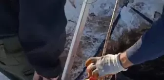 Mardin'de kuyuya düşen köpek kurtarıldı