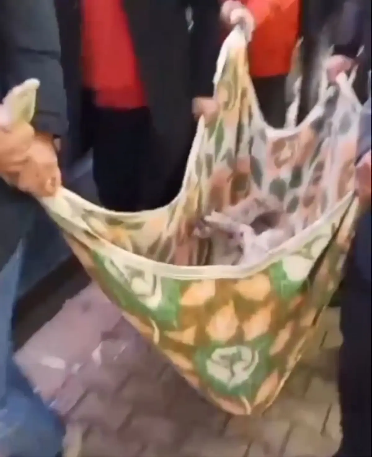 'Matmazel'in darbedilerek öldürüldüğü iddiasına soruşturma