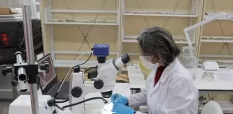 Tarihi Kayseri Kalesi'ndeki müzeye konservasyon laboratuvarı kuruldu