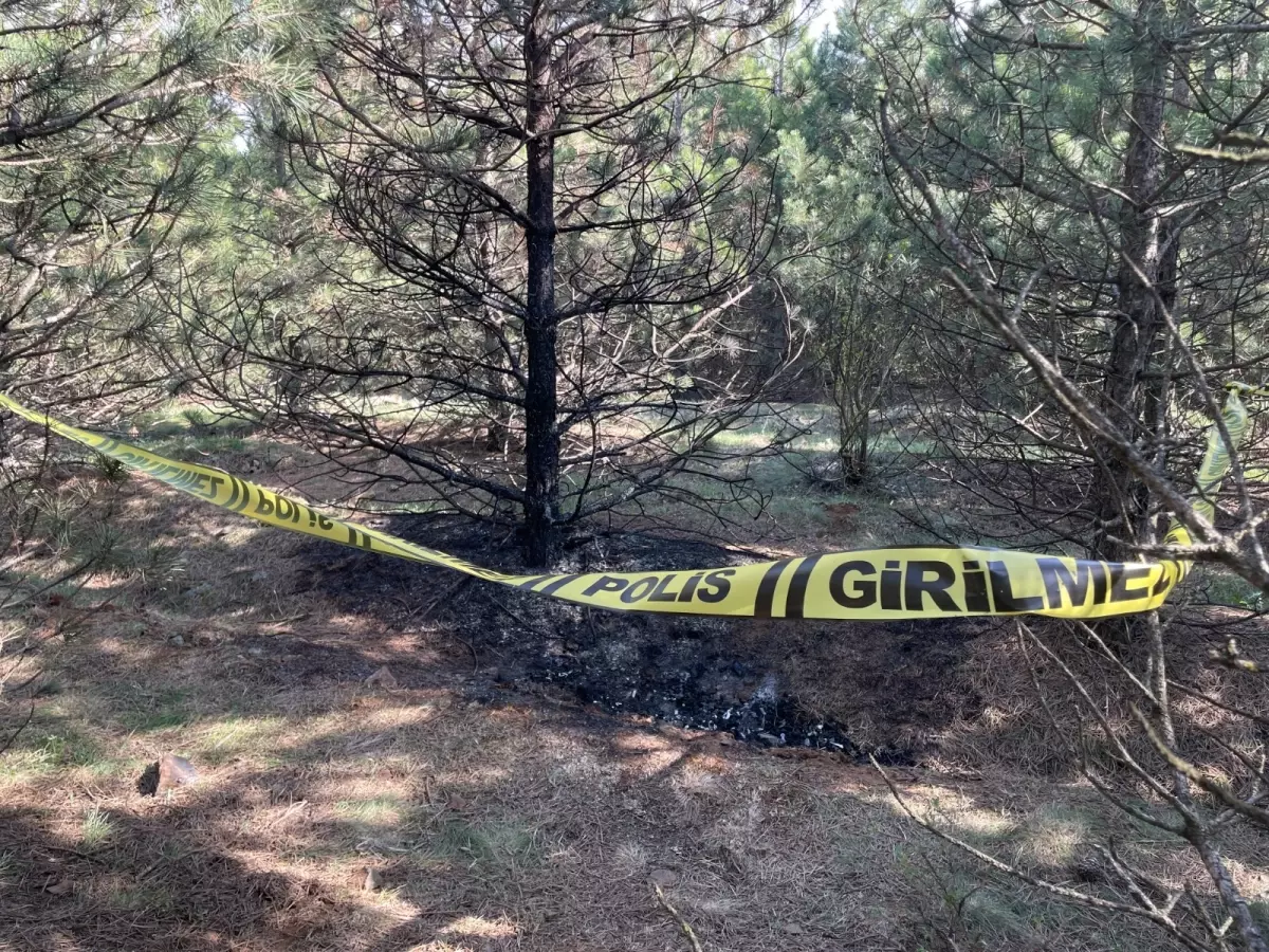 Tartıştığı sevgilisini boğarak öldürüp, cesedini 2 kez benzin dökerek yakmış