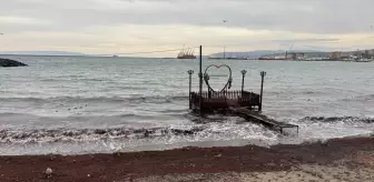 Tekirdağ'da lodos nedeniyle sahilde kırmızı yosun birikti