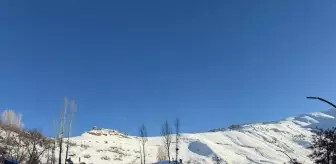 Van'ın Çatak ilçesinde çığ düşen bölgelerde inceleme yapıldı