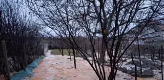 Balkanlar'da şiddetli yağışlar sellere neden oldu