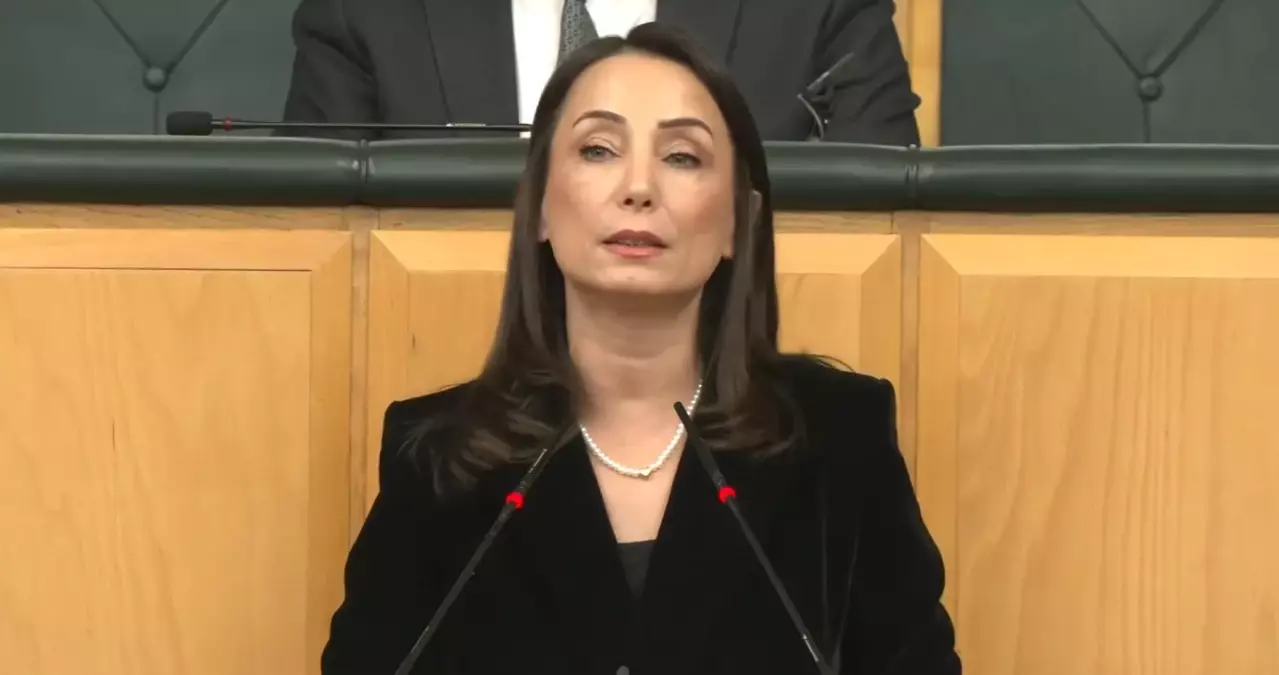 DEM Parti'li Hatimoğulları: Barış, oy hesabına ve seçim takvimine kurban edilemez