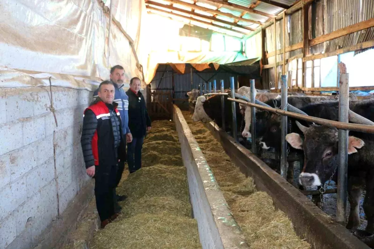 Erzincan'da aile hayvancılık işletmeleri ziyaret edildi