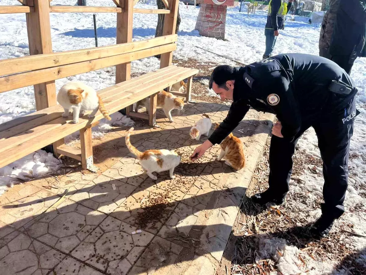 Gölbaşı ilçesinde polisler sokak hayvanları için mama bıraktı