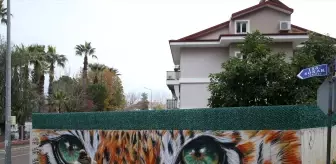 'Grafiti' sanatçısı Axel Mengü, turistik ilçeye renk katıyor