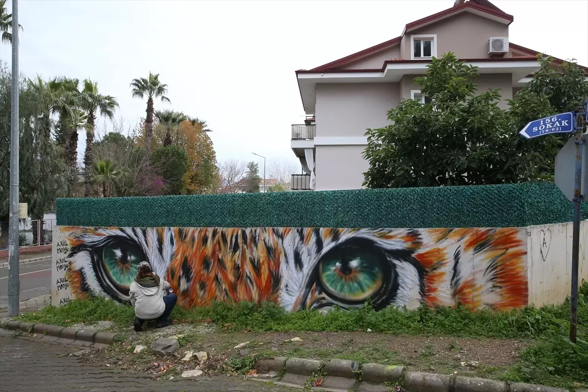 'Grafiti' sanatçısı Axel Mengü, turistik ilçeye renk katıyor