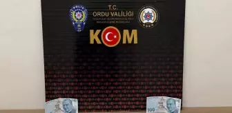 Ordu'da sahte banknot operasyonunda 3 şüpheli yakalandı