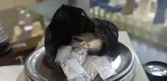 Ordu'da uyuşturucu ele geçirilen otomobildeki 2 kişi tutuklandı