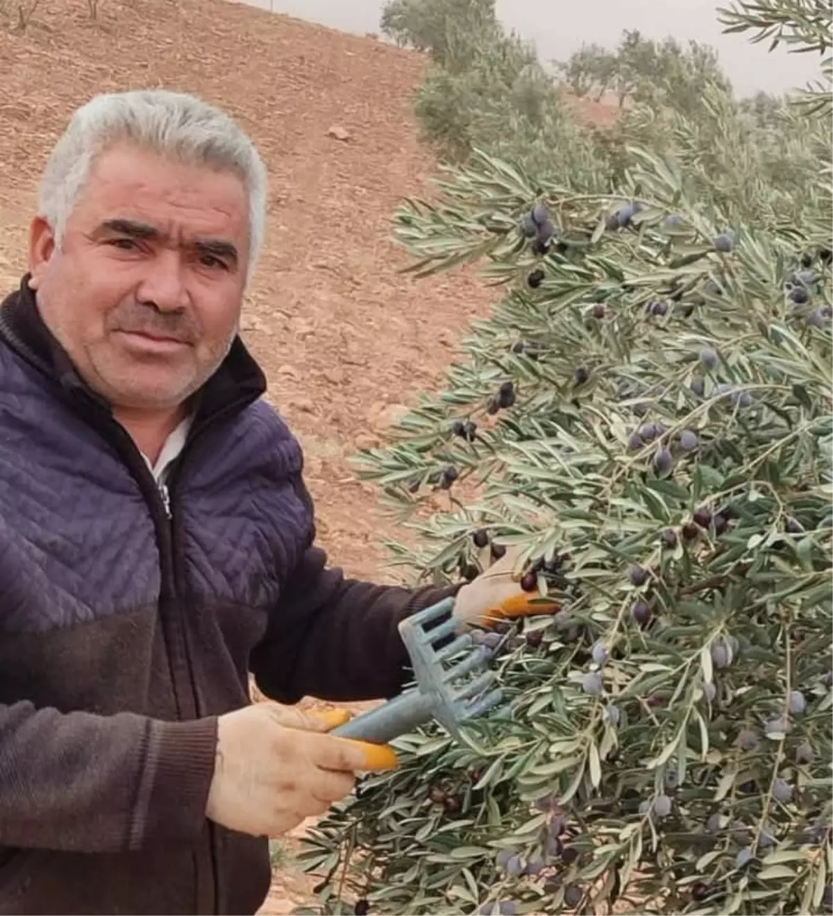 Şanlıurfa'da Asansör Boşluğuna Düşen Kişi Hayatını Kaybetti