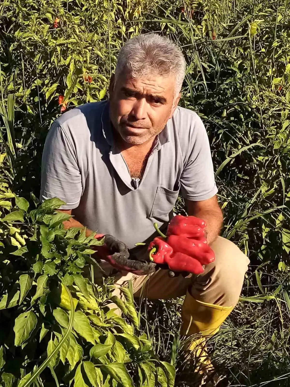 Şanlıurfa'da asansör faciası: Boşluğa düşen servis şoförü hayatını kaybetti