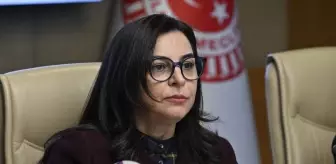 TBMM Suça Sürüklenen Çocuklara İlişkin Araştırma Komisyonu toplandı