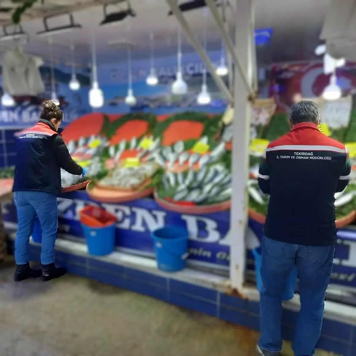 Tekirdağ'da su ürünlerine sıkı denetim