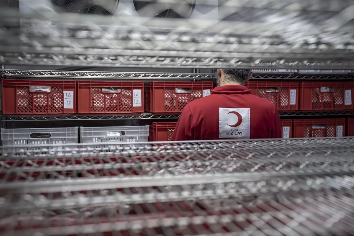 Türk Kızılay geçen yıl Erzurum ve çevresinde yaklaşık 80 bin ünite kan topladı