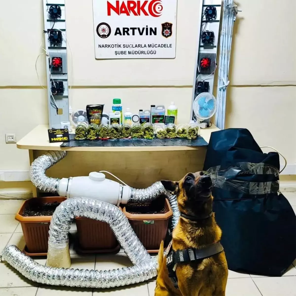 Artvin'de uyuşturucu madde ve yetiştirme düzeneği ele geçirildi