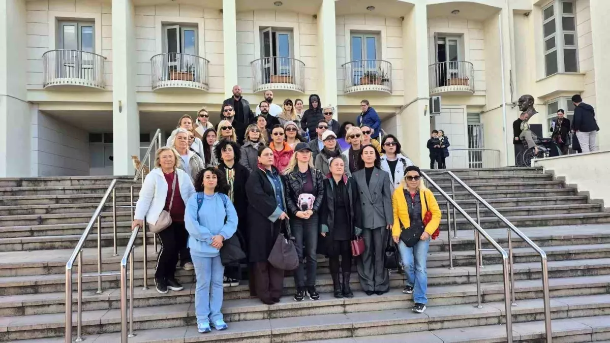 Bodrum'da "Çinko" isimli köpeğe çarpan sürücünün yargılanmasına başlandı