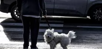 Bursa'da kuvvetli rüzgar etkili oluyor