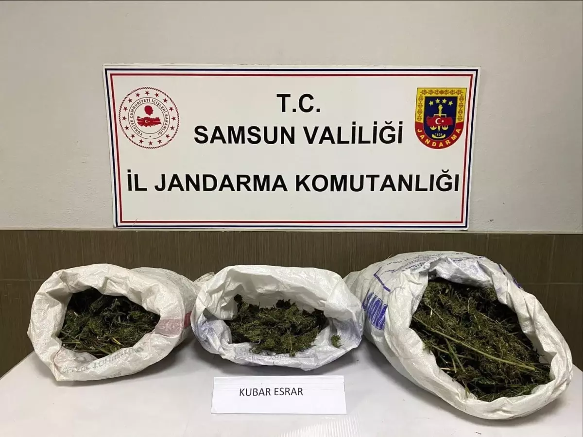 Çarşamba'da uyuşturucu operasyonunda 1 gözaltı