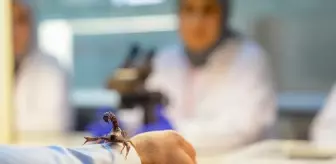 Dicle Üniversitesine hibe edilen akrepler akademik çalışmalarda kullanılacak
