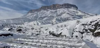 Hakkari'de kar nedeniyle seralar çöktü