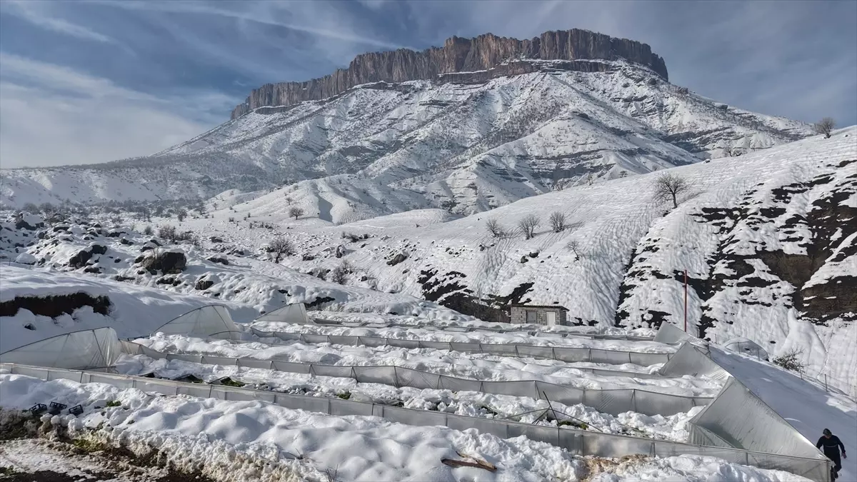 Hakkari'de kar nedeniyle seralar çöktü