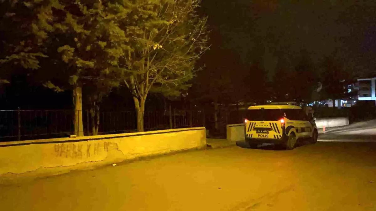 Husumetli 3 şahıs baba ve oğula saldırmış