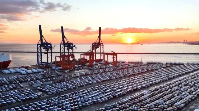 Импортные автомобили заполнили гавань Хайдарпаша